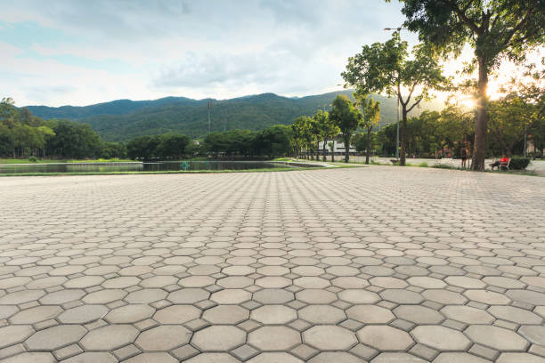 Best Residential Paver Driveway  in Cricket, NC
